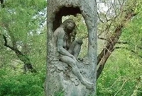 树屋基础知识及建筑结构分享