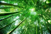 关于结构设计中的刚度比的基础知识