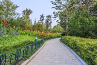 园林景观铺装知识