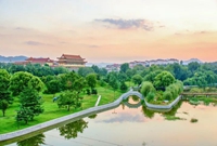 园林绿化施工过程全记录