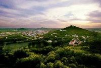 园林绿化树辣么多种怎么选择为好