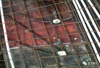 建筑水电预埋施工