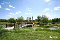 如何在园林设计中完美融入景观桥