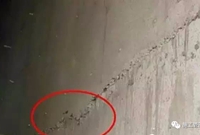 干货！！！工地施工各项节点问题预防全方面解析