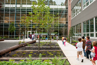 校园景观设计八要素，掌握这些也能很简单！