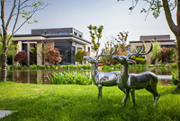 庭院景观设计，记住这四点！