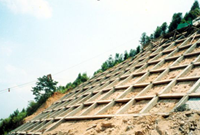 实例分析：基坑围护结构工程施工流程