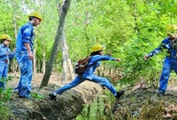 工程建设监理“四控两管”工作的七个要点分析