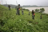 堤防出状况怎么办教你防汛抢险十大招！