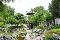 当植物遇见叠石，美的浑然天成