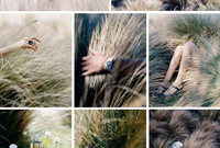 当草不仅仅是草，它也能是一道风景！