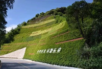 七种边坡绿化施工工艺详解