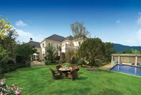 观赏草坪完美建植方法，点我看详情！