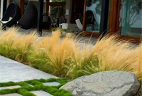 庭院这样铺装真的超美的！