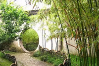 如何根据植物季相变化特征造景