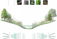 河道景观植物怎么选才能生态又美观