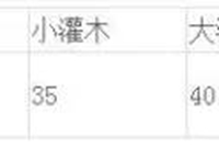 从中标到完工，景观施工的全过程详解！