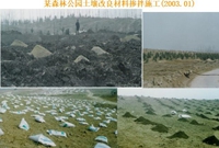 园林绿化施工全解