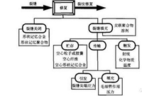 混凝土冷缝产生原因与处理