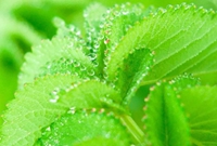 多联机系统制冷剂概念及灌注操作方法