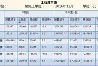 工程项目成本报表的编制，附成本管控与核算全部案例分析