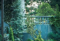 各式风格庭院在植物配置有什么诀窍