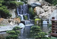 庭院水景五大类，小小庭院也能美如画！