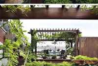 屋顶绿化景观设计的五个类型