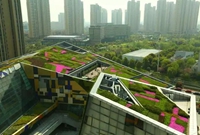 屋顶绿化的10个优点