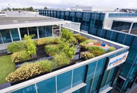 这样的屋顶花园我也想要一个！