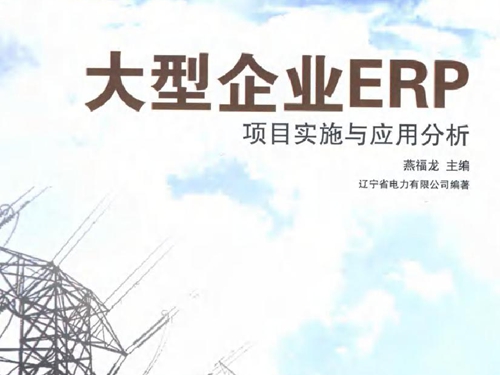 大型企业ERP项目实施与应用分析