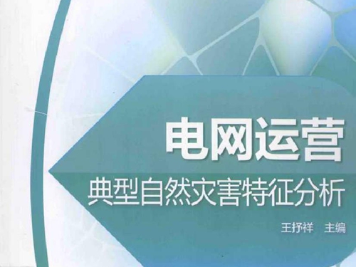 电网运营典型自然灾害特征分析