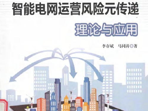 智能电网运营风险元传递理论与应用