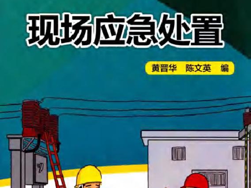 电力员工安全教育培训教材 现场应急处置
