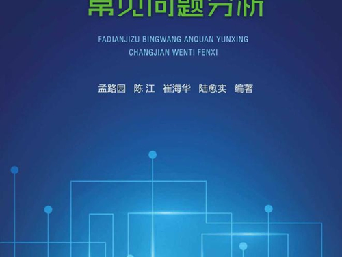 发电机组并网安全运行常见问题分析