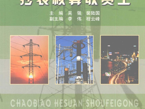 电力工人技术等级暨职业技能鉴定培训教材 抄表核算收费工 初 中 高级工及技师 高级技师适用 丁毓山，徐义斌 ，吴强，裴陆国分册 (2009版)