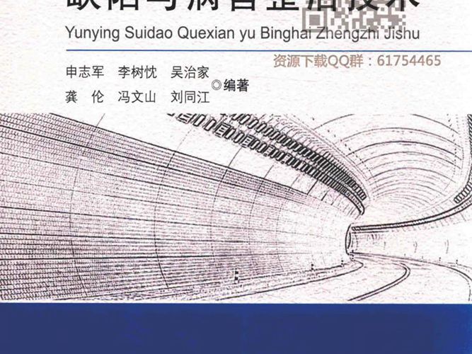 运营隧道缺陷与病害整治技术 2016年版