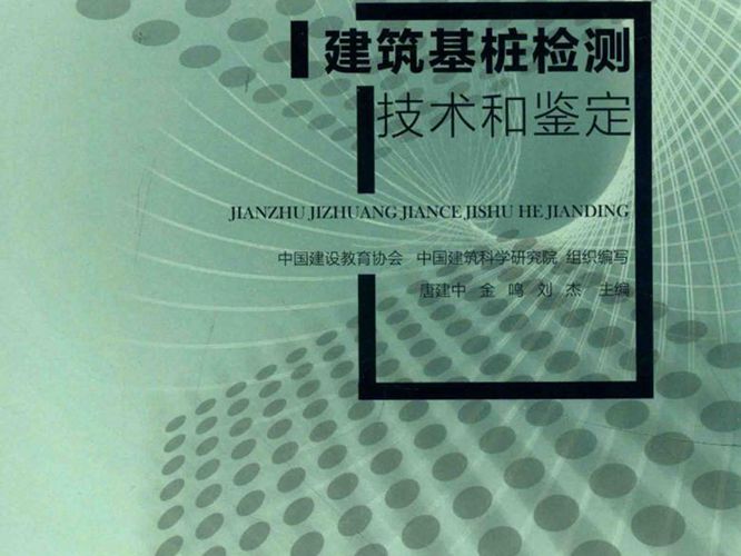 建筑基桩检测技术和鉴定 唐建中