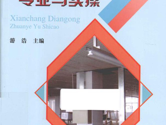 现场电工专业与实操 游浩