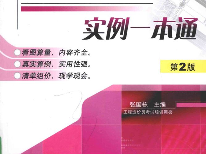 建筑工程造价实例一本通  第二版 张国栋