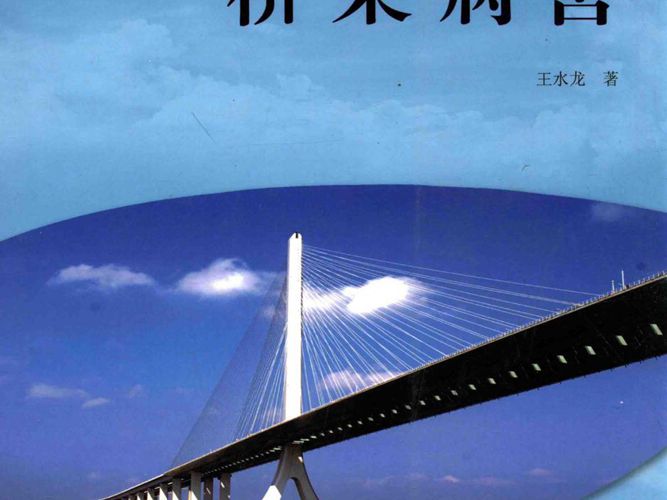 桥梁病害王水龙 2015版