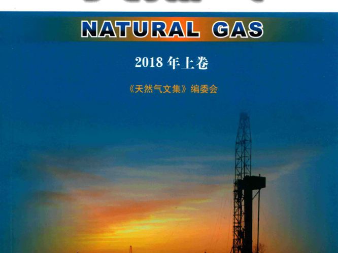 天然气文集 上卷2018版