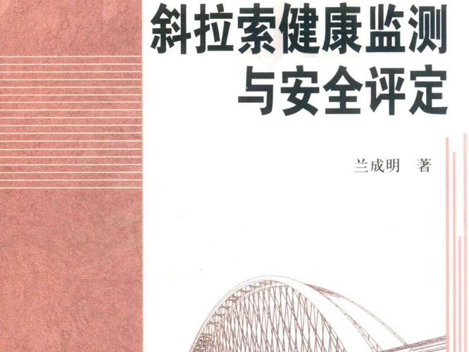 斜拉索健康监测与安全评定兰成明