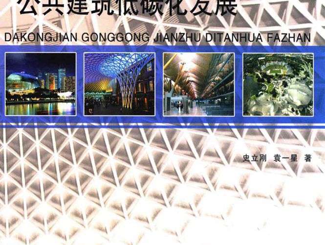大空间公共建筑低碳化发展史立刚，袁一星 著 2015年版