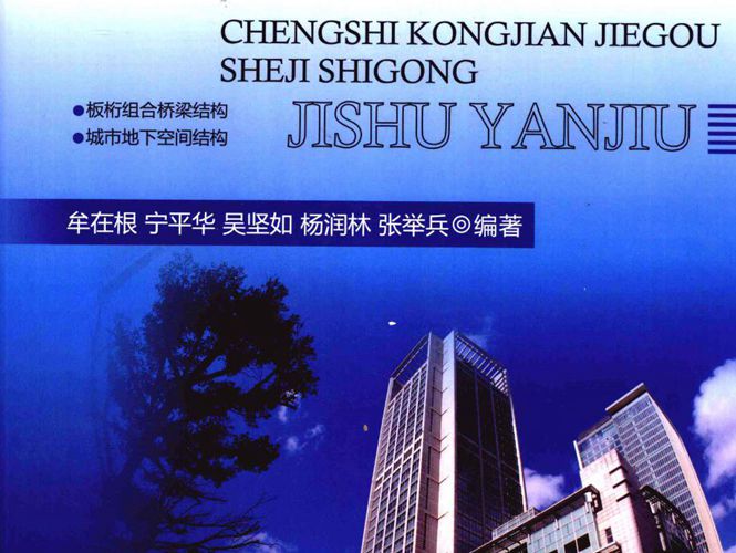 城市空间结构设计施工技术研究 吴坚如 等 2011年版