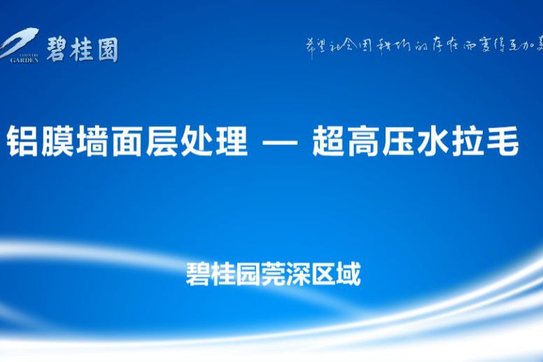 碧桂园 铝膜墙面层处理-超高压水拉毛施工工艺