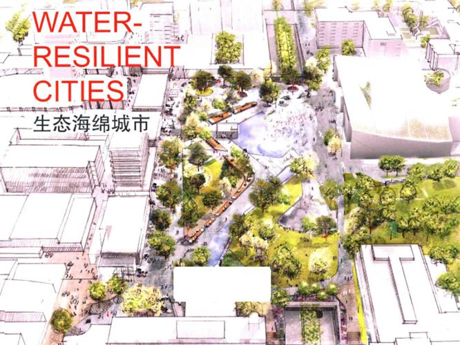 景观实录 生态海绵城市 （英）坎农·艾弗斯 编 李婵译 著 2016年版