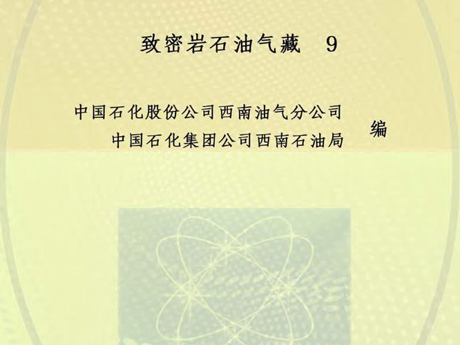 致密岩石油气藏 9中国石化股份公司西南油气分公司、中国石化集团公司西南石油局