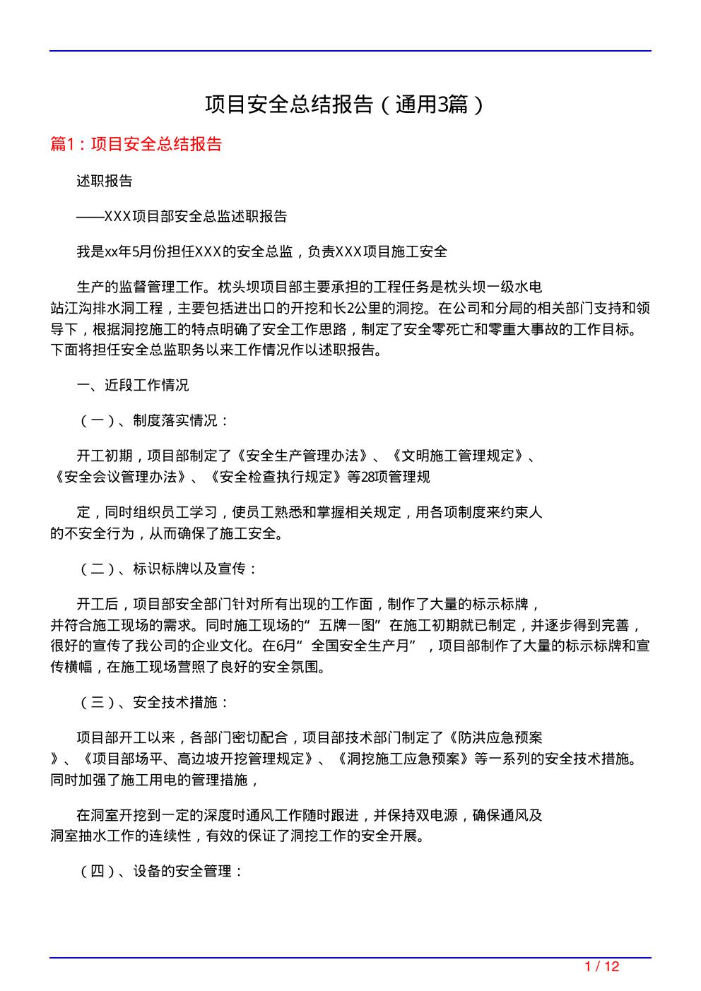 项目安全总结报告