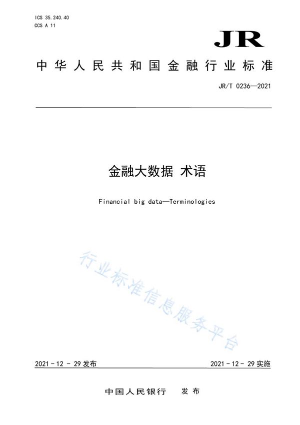 金融大数据 术语 (JR/T 0236-2021)